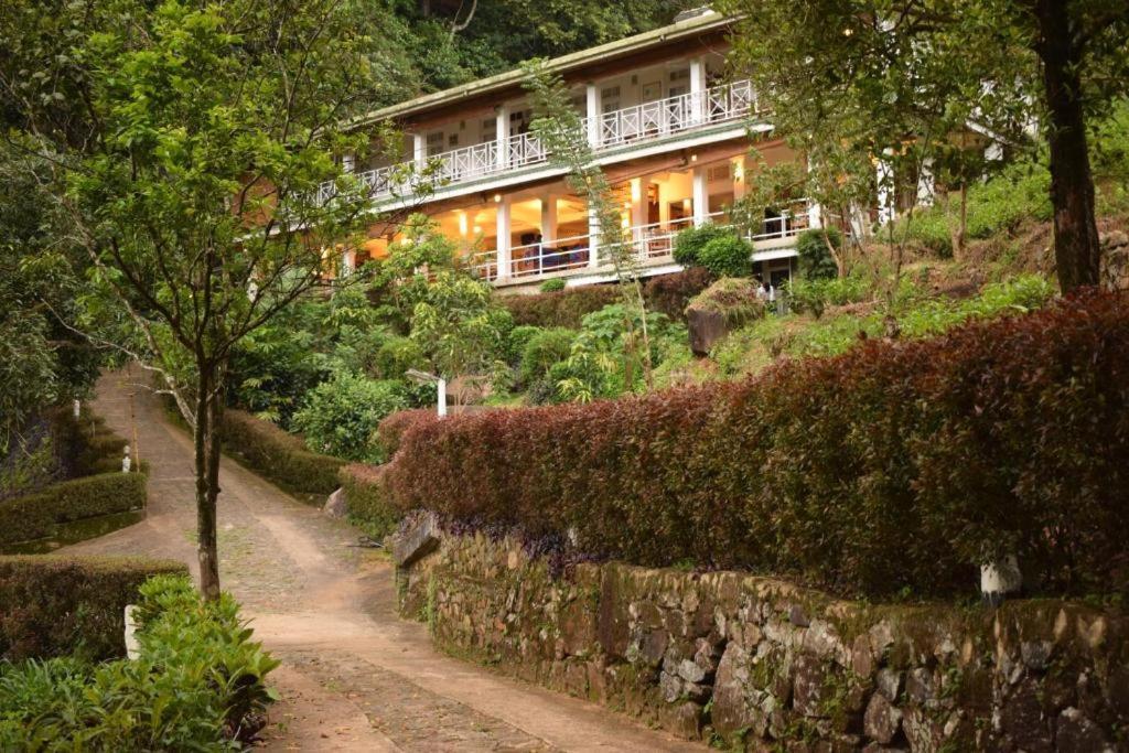Forest Edge Hotel Ginigathena 외부 사진