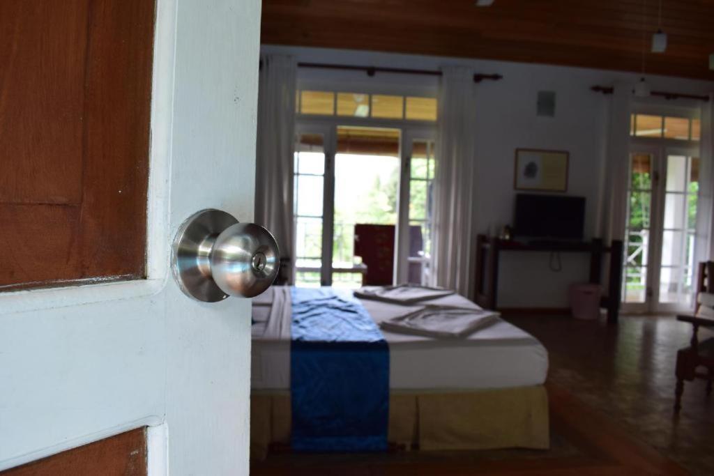 Forest Edge Hotel Ginigathena 외부 사진